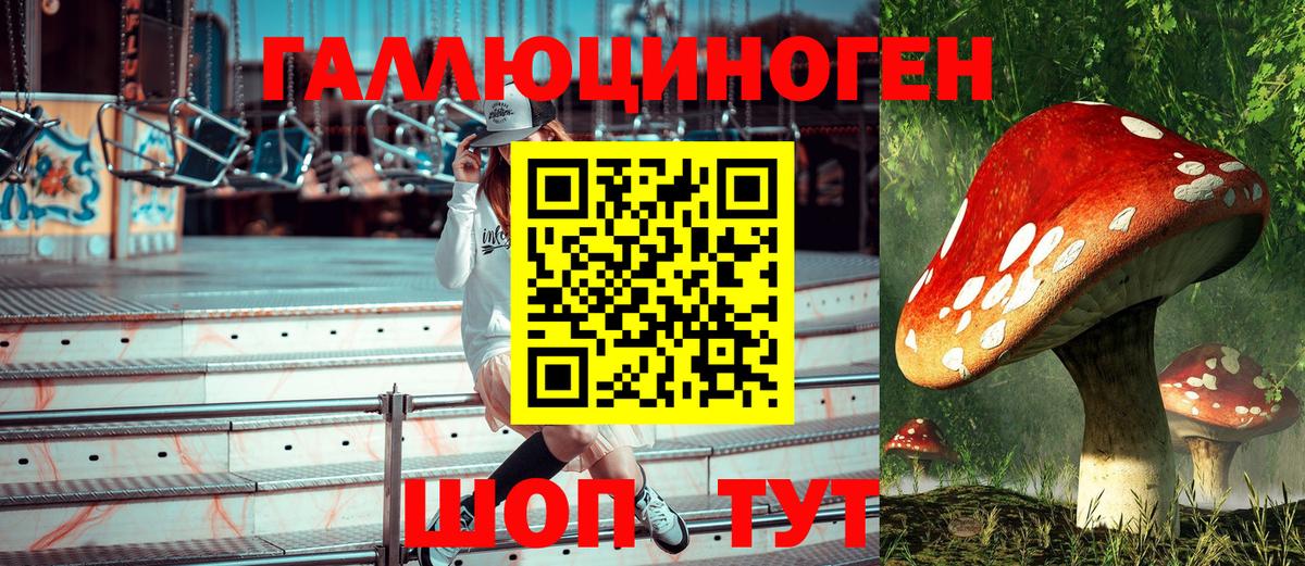 Псилоцибиновые грибы прущие грибы  Вход с VPN  Кириши  Псилоцибиновые грибы ЛСД 